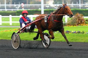 Finale du GNT 2016 Dimanche à Vincennes : Aubrion du Gers, évidemment