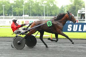 Quinté Samedi à Vincennes : Vulcain de Vandel proche de l'éruption...