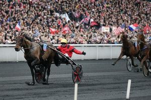 Bold Eagle est bien le meilleur