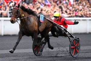Prix de France Dimanche à Vincennes : Bold en route pour un nouveau doublé
