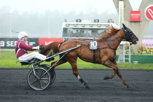 Quinté Samedi à Vincennes : Venkatesh a la marge
