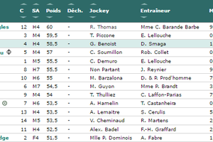 Quinté de Mercredi à Chantilly : Star Sun, place au soleil