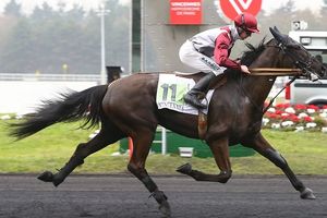 Pronos R1 à Vincennes Dimanche
