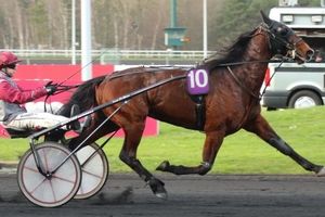 Finale du Trophée Vert Dimanche à Craon : tous contre Bugsy !