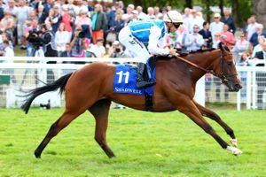Pronos Réunion 1 à Chantilly Dimanche