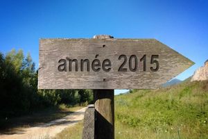 L'année 2015 ...