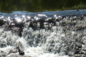 A la rencontre des esprits de la nature 4.06