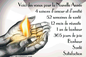 MEILLEURS VOEUX