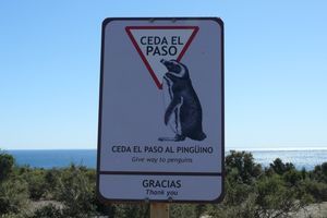 De Valdès à Ushuaia