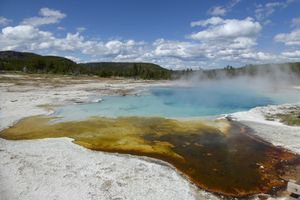 Yellowstone et Grand-Teton
