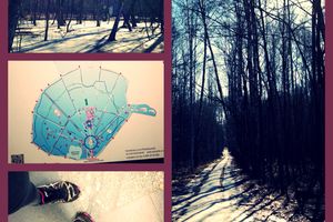 Parc Sokolniki