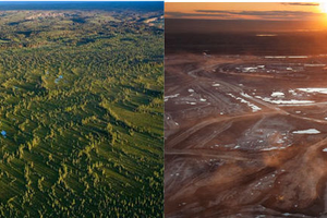 Le pétrole et ses impacts
