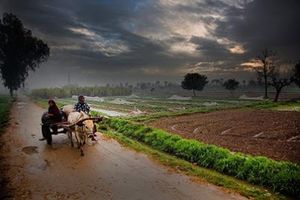 خدا کرے کہ میری ارض پاک پر اترے وہ فصل گل ، جسے اندیشہ زوال نہ ہو