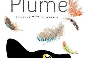 Collection de plumes