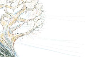 Au creux des branches ... de l'arbragan !