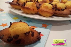 Madeleine aux Pépites de Chocolat