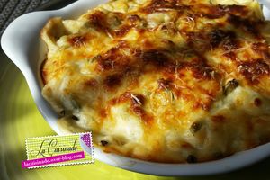 Gratin de légumes