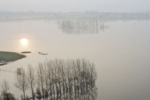 Marais blanc