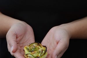 Fleur de courgettes au Bleu d'Auvergne