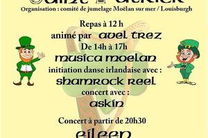 St Patrick 2015, nous voilà!!!