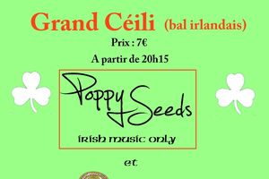 Grand Ceili du 18 avril à RIEC!!!!!