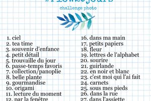 Challenge photos #Flow29jours