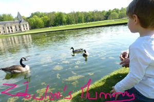 # Projet 52 - Semaine 13 - Printemps