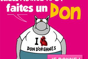 9 ans aujourd'hui qu'il est en moi ...Le Rein de ma Soeur !