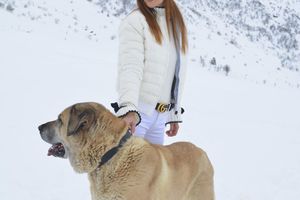 Blanc comme neige ❄️