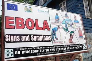 Ebola, tueur né !