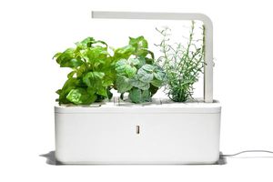 Mon "Smart" jardin