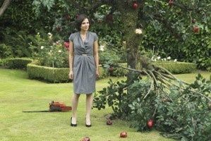 Les contes de fées s'invitent dans le petit écran - Partie 2. Once upon a time
