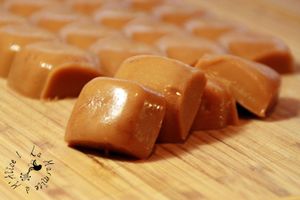 Caramels Mous {avec ou sans Companion}