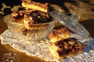Carrés au sucre muscovado, miel et chocolat