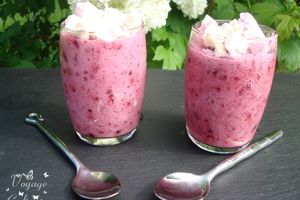 Frozen yaourt light aux fruits rouges - 1 pp