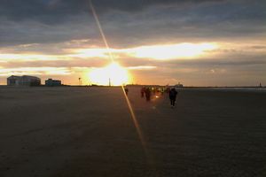 Sorties à la plage !