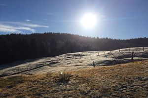 Un petit coucou des Vosges