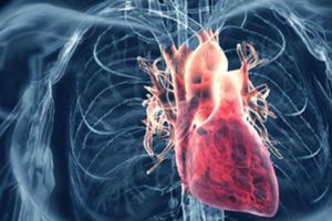 La cigarette électronique stresse moins nos cellules cardiaques