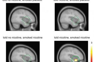 Croire à la présence de nicotine suffit-il à satisfaire la dépendance ?