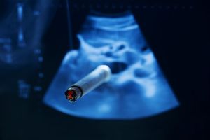 Le tabac fragilise les reins de l’enfant pendant la grossesse