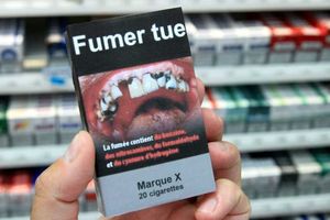 Le paquet neutre n'a pas (encore) d'effet notable sur les ventes