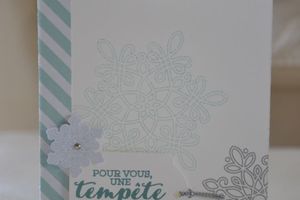 Avec le set "Tempête de souhaits"