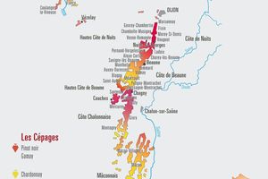 La guerre des bouchons (2)