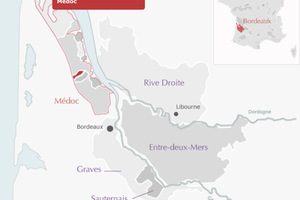 Listrac Médoc : 2016 est un beau millésime !
