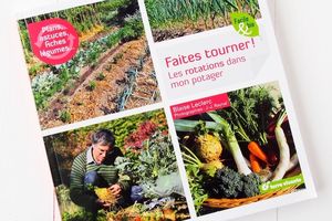 Faites Tourner ! Les Rotations dans mon Potager