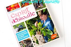 Esprit Débrouille, Guylaine Goulfier