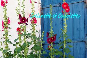 Les Passeroses