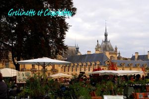 Les Entrées pour les Journées des Plantes de Chantilly sont pour...