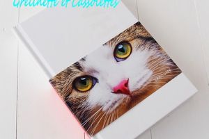 Ce chat qui a Changé ma Vie, Artfold Livre Sculpture à Gagner...
