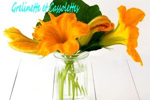 Fleurs de Courges : lesquelles choisir pour Cuisiner ?